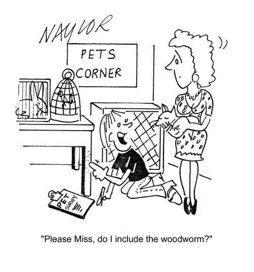 'Please Miss, do I include the woodworm?'