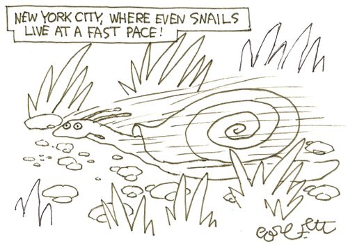 New York City, where even snails live at a fast pace!