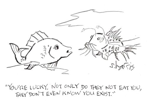 'You're lucky.  Not only do they not eat you, they don't even know you exist.'