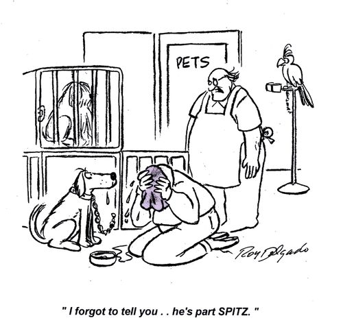 'I forgot to tell you... he's part Spitz.'
