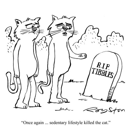 Cats at grave. One says: 'Once again ... sedentary lifestyle killed the cat.'