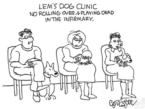 Dog clinic: NO rolling over and playing dead.
