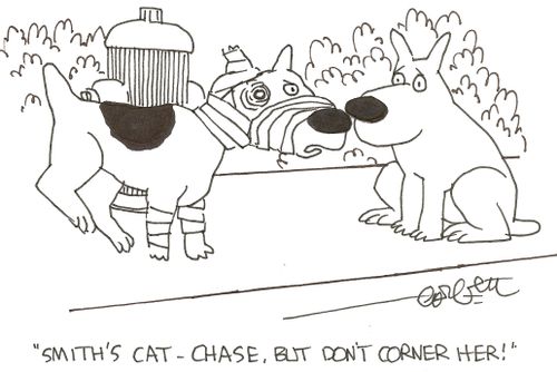 'Smith's cat- chase, but don't corner her!'