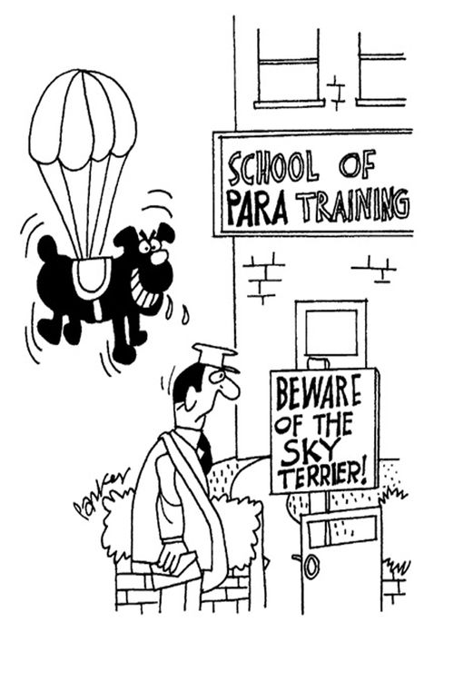 Beware of the Sky terrier.