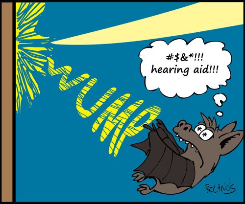 #$&*!!! hearing aid!!!