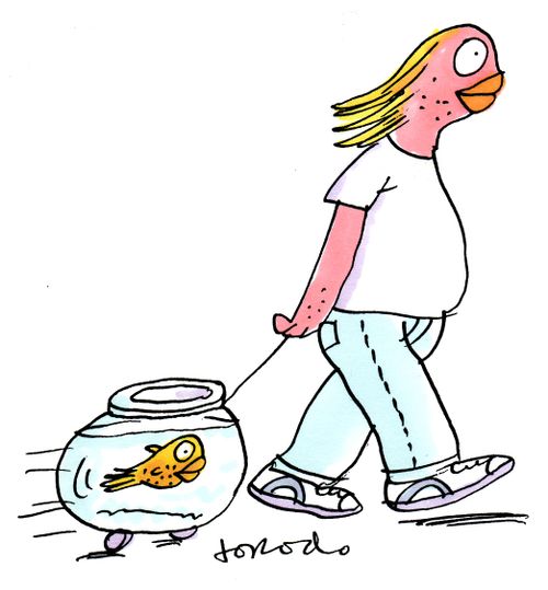 Goldfish Owner.