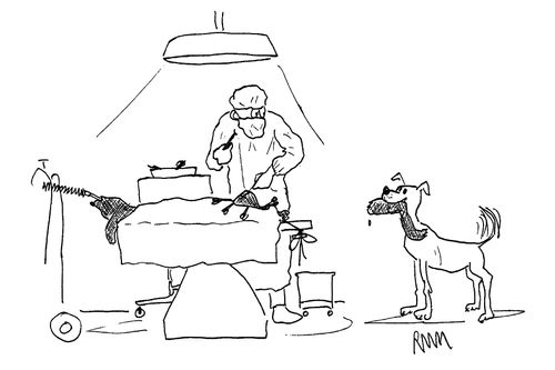 Dog Stealing Limb During Surgery.