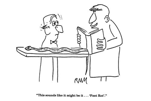 'This sounds like it might be it...'Foot Rot'.'