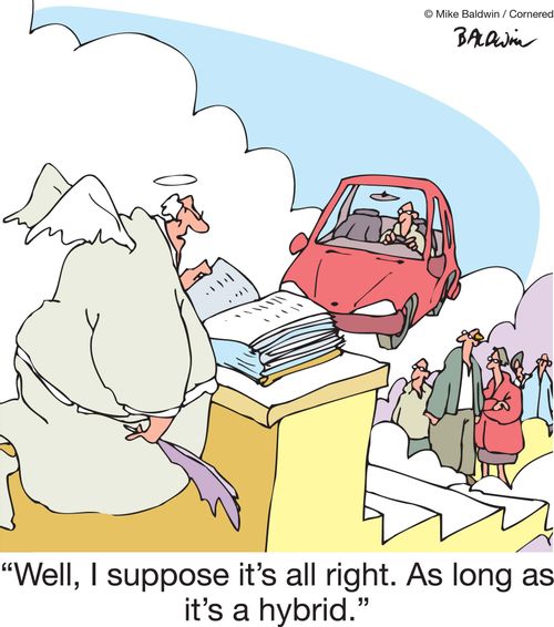 'Well, I suppose it's all right. As long as it's a hybrid.'
