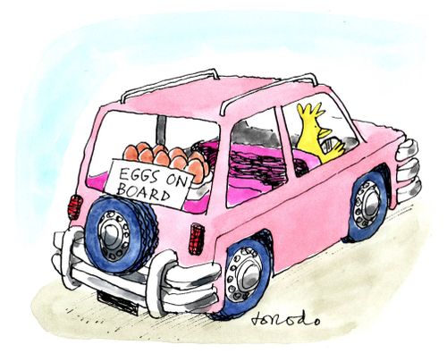 Mother hen driving with 'Eggs on Board' sign.