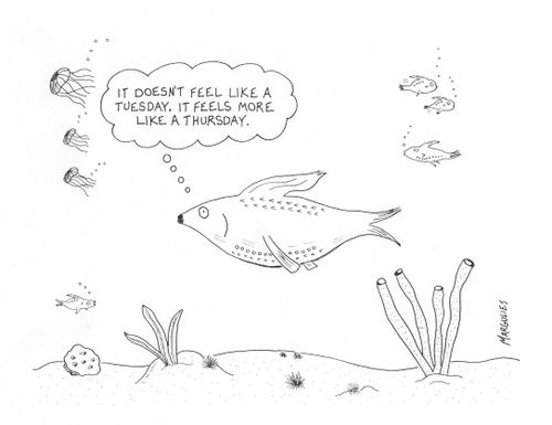 'It doesn't feel like a Tuesday. It feels more like a Thursday.'
