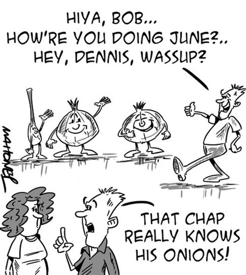 'That chap really knows his onions!'
