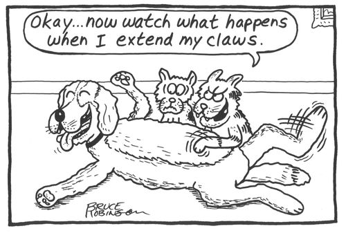 'Okay...now watch what happens when I extend my claws.'