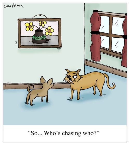 'So... Who's chasing who?'