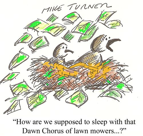 'How are we supposed to sleep with that Dawn Chorus of lawn mowers...?'