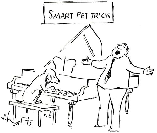 Smart Pet Trick.