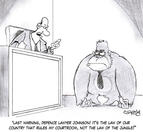 'Last warning, defence lawyer Johnson! It's the law of our country that rules my courtroom, not the law of the jungle!'