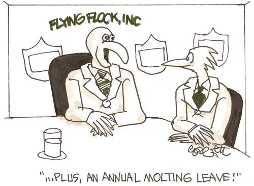 '...plus, an annual molting leave!'