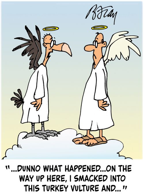 '...dunno what happened...on the way up here, I smacked into this turkey vulture and...'