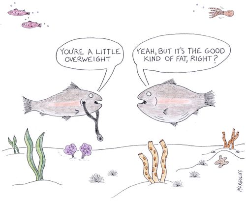 'You're a little overweight.'