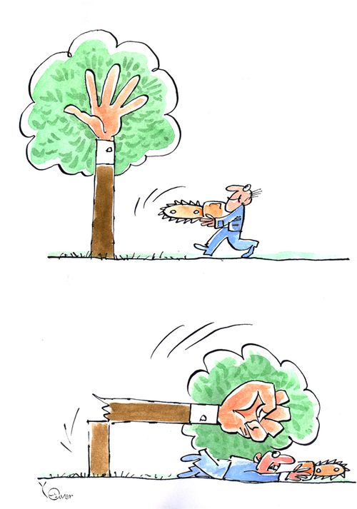A tree's revenge.