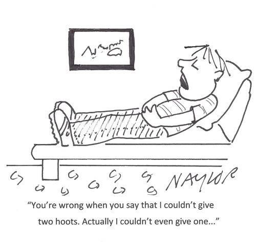 'You're wrong when you say that I couldn't give two hoots. Actually I couldn't even give one...'
