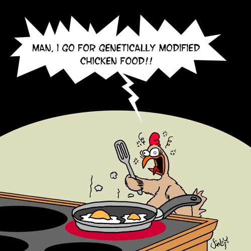 'Man, I go for genetically modified chicken food!'