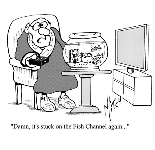 'Damn, it's stuck on the 'Fish Channel' again.'