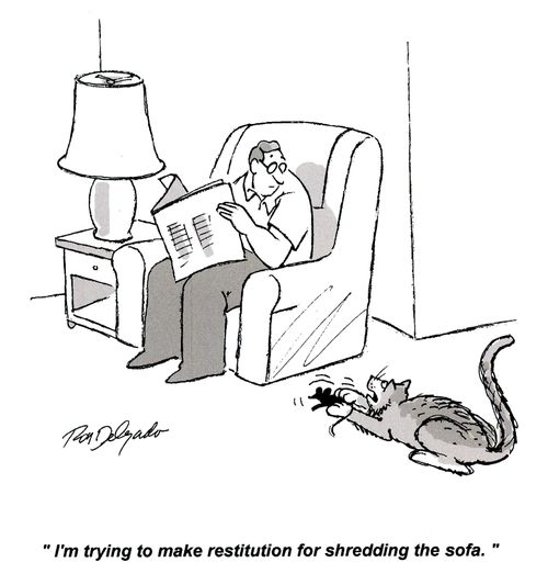 'I'm trying to make restitution for shredding the sofa.'
