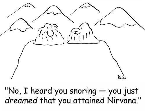 'No, I heard you snoring -- you just dreamed that you attained Nirvana.'