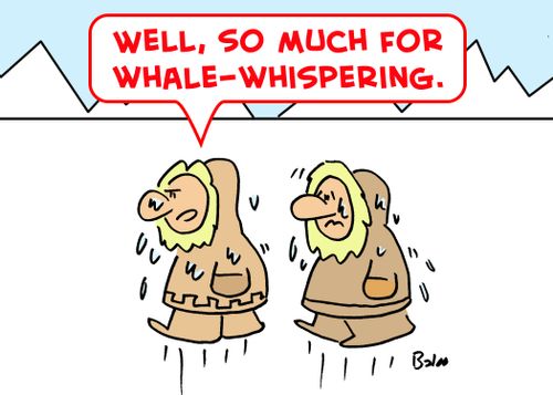 'Well, so much for whale-whispering.'