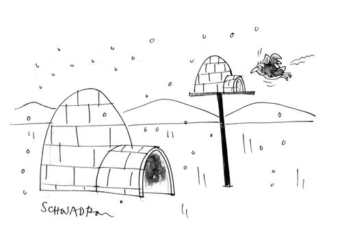 Igloo for birds.