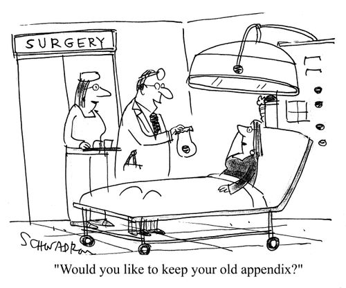 'Would you like to keep your old appendix?'