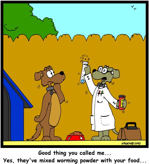 'Good thing you called me... Yes, they've mixed worming powder with your food...' (colour)