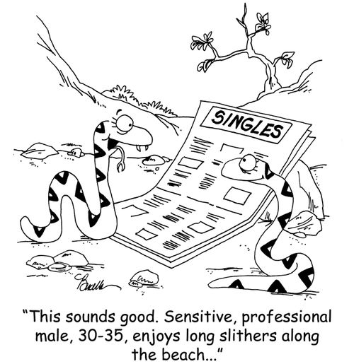 'This sounds good. Sensitive, professional male, 30-35, enjoys long slithers along the beach...'