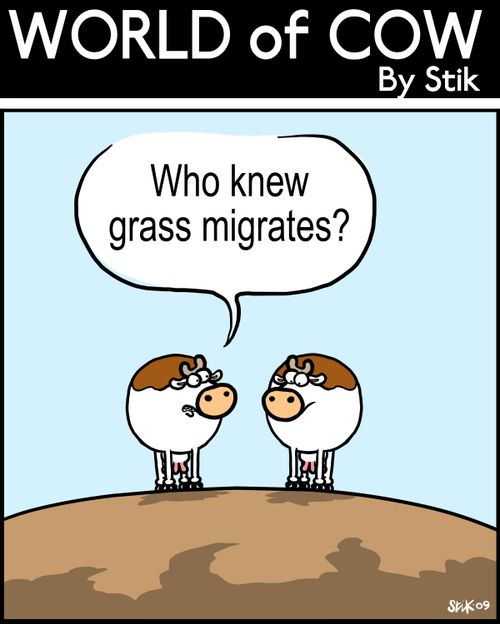 Who knew grass migrates?