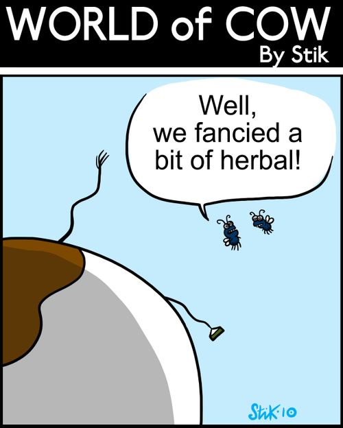 Well, we fancied a bit of herbal!