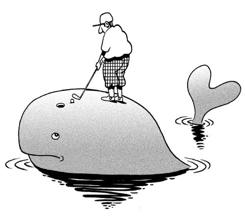 Golfer putting into whale's blowhole.