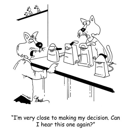 'I'm very close to making my decision. Can I hear this one again?'