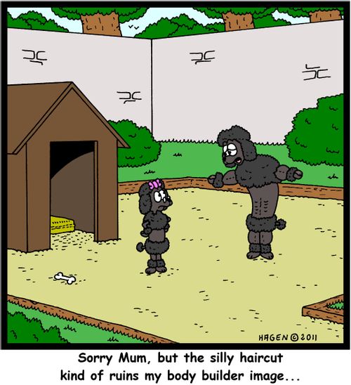 'Sorry Mum, but the silly haircut kind of ruins my body builder image...'