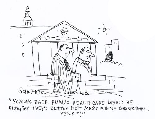 'Scaling back public healthcare would be fine, but they'd better not mess with our congressional perks...'