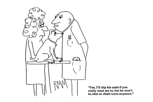 'Yes, I'll clip his nails if you really want me to...'