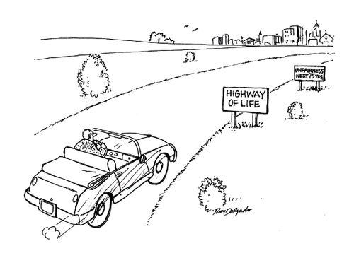 Highway of life.