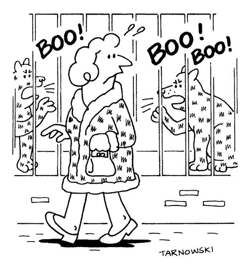 Woman in a fur coat being booed by leopards.