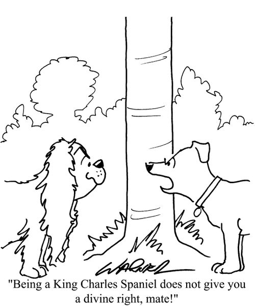 "Being a King Charles spaniel doesn't give you a divine right!"