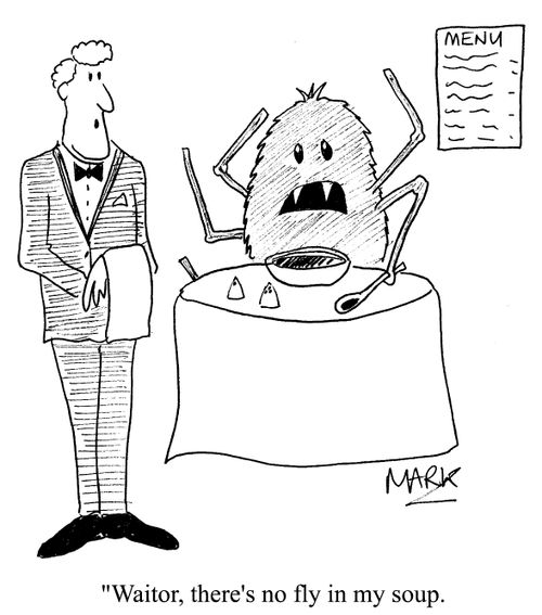 "Waiter, there's no fly in my soup."
