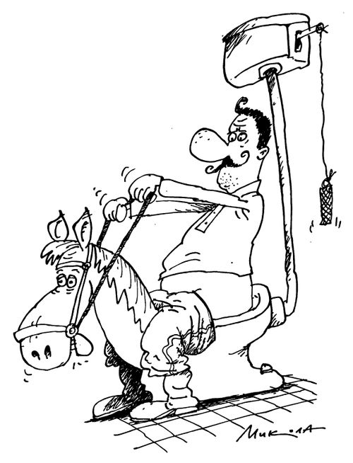 Pantomime Horse / Cavalry Toilet