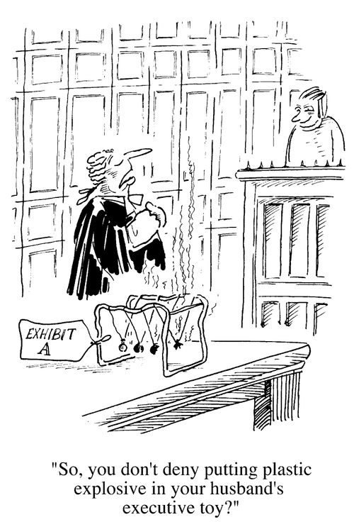 "So you don't deny putting plastic explosives in your husband's executive toy ?"