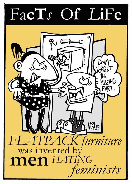 Flatpack furniture: Invention of men hating feminists. 