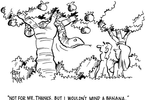'Not for me, thanks, but I wouldn't mind a banana.'